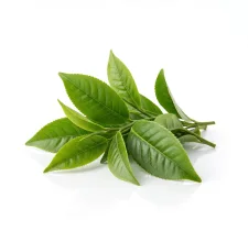 Green tea leaf — seventh by weight, behind four ingredients the sales page never names