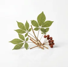 Panax ginseng root — twelfth by weight, and the plant part the two documents disagree on